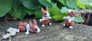 Králík mini