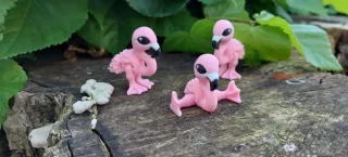 Plameňák mini