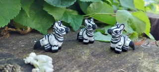 Zebra mini