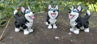 Siberian Husky
