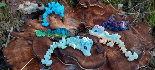 Mushroom baby dragon