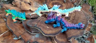 Wolf baby dragon