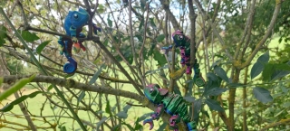 Chameleon
