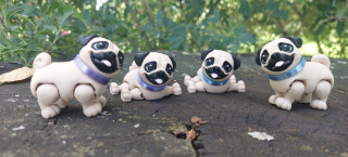 Mops